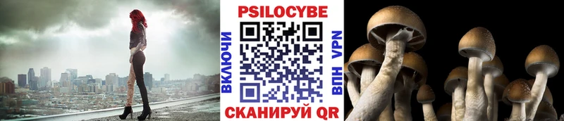 дарк нет телеграм  mega зеркало  Хотьково  Галлюциногенные грибы GOLDEN TEACHER 