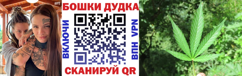 цена   Хотьково  Конопля план 